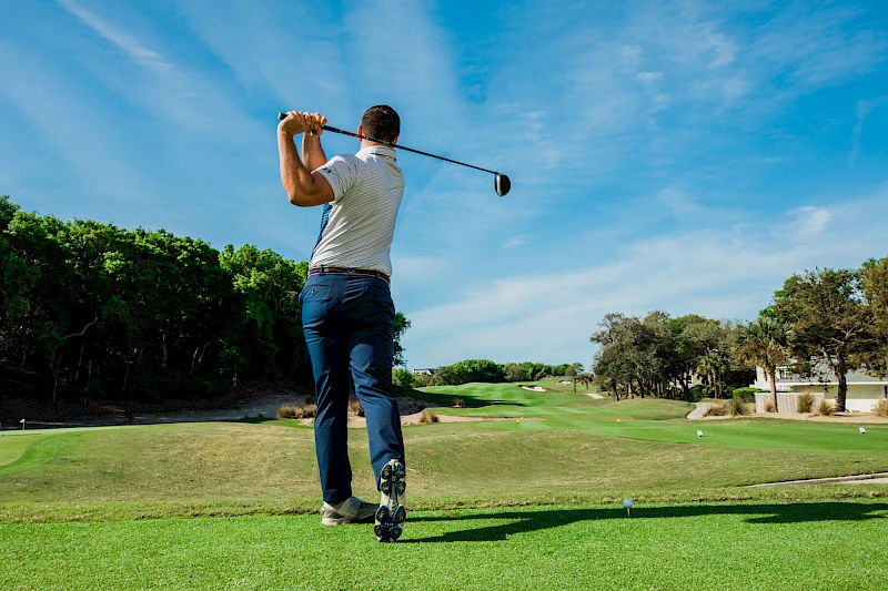 In Search of the Perfect Swing (Video Analysis)